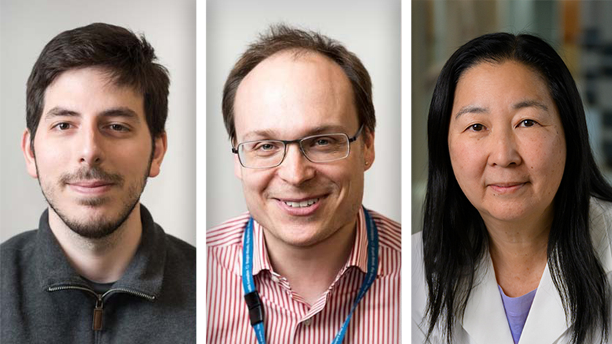 Boosting immunotherapy efficiency