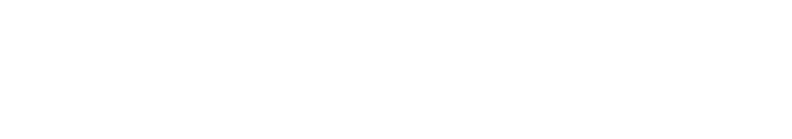 Initiative Logo