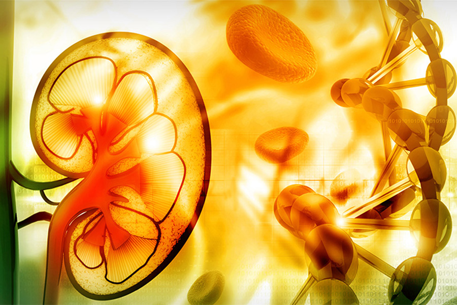 Identifying targets in kidney cancer