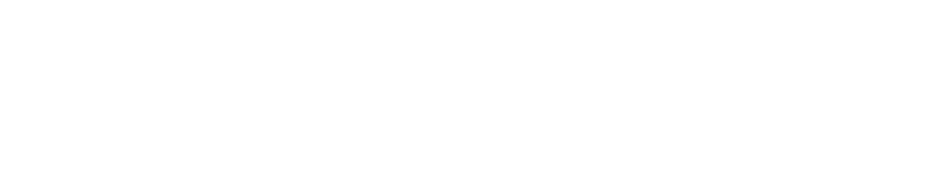 Initiative Logo