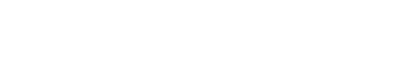 Initiative Logo