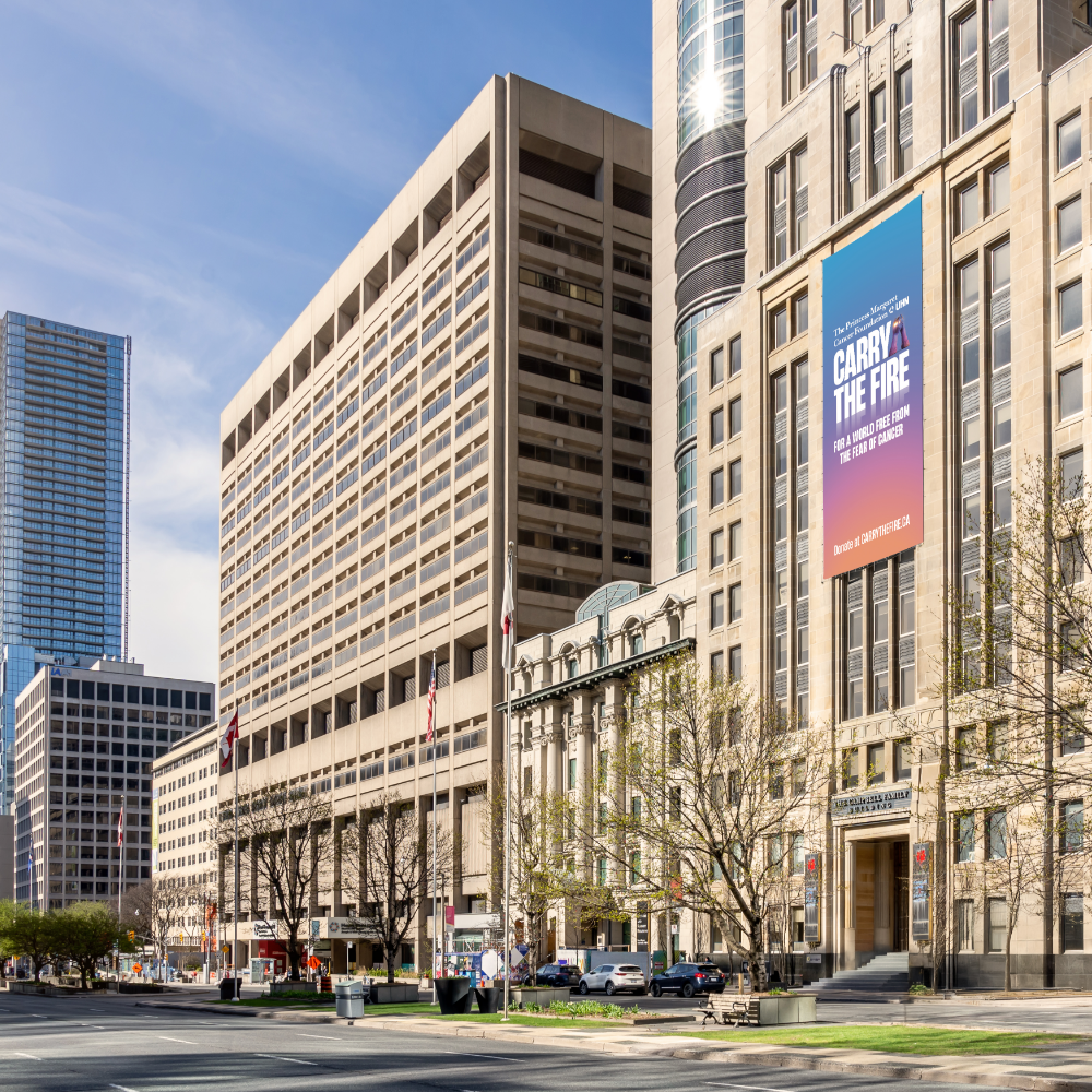 Fall 2025 Newsletter