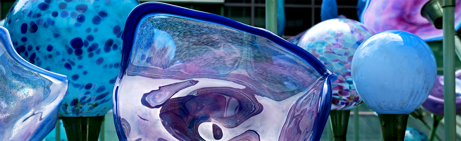 The Max Tanenbaum Healing Garden